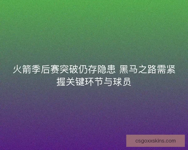 火箭季后赛突破仍存隐患 黑马之路需紧握关键环节与球员